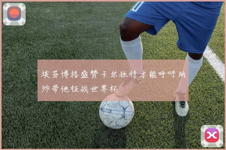 埃芬博格盛赞卡尔独特才能呼吁纳帅带他征战世界杯