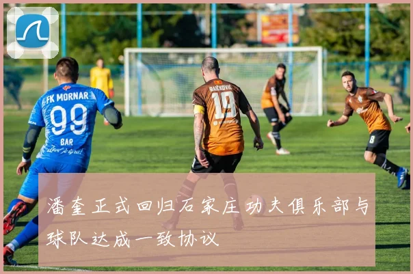 潘奎正式回归石家庄功夫俱乐部与球队达成一致协议
