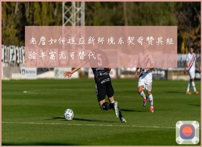 老詹如何适应新环境东契奇赞其经验丰富无可替代