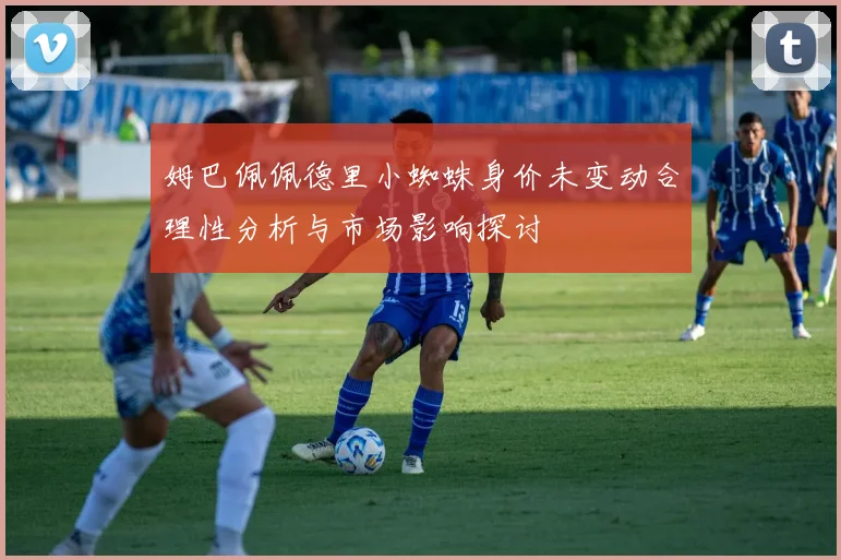 姆巴佩佩德里小蜘蛛身价未变动合理性分析与市场影响探讨