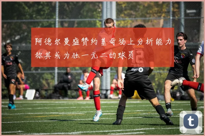 阿德尔曼盛赞约基奇场上分析能力称其或为独一无二的球员
