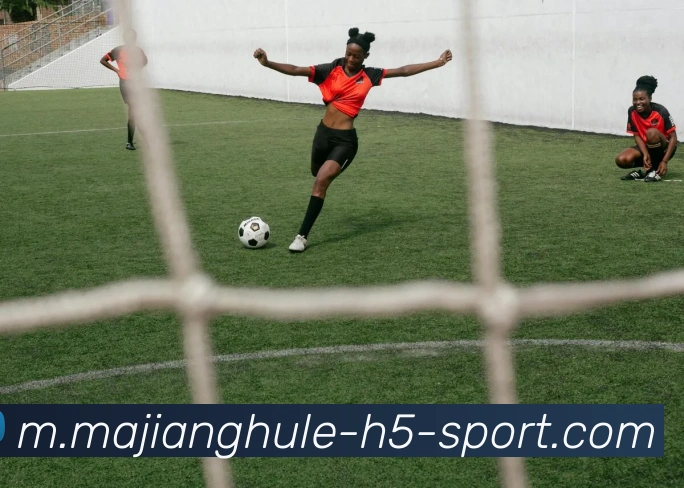 麻将胡了平台生态图